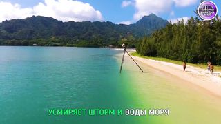 Wolsar worship - Ты со мною рядом