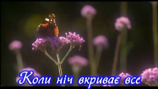 Коли ніч вкриє все