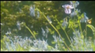 Коли ніч вкриє все