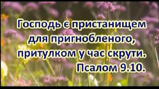 Коли ніч вкриє все