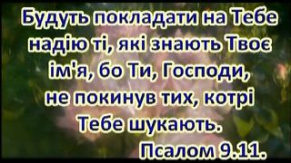 Коли ніч вкриє все