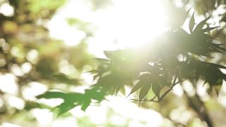 Lora Mukha - Люблю Тебя