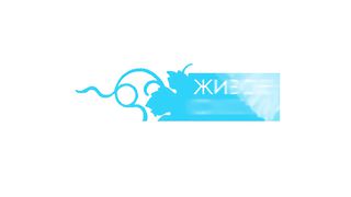 Сергей Гаврилов - О мужчине