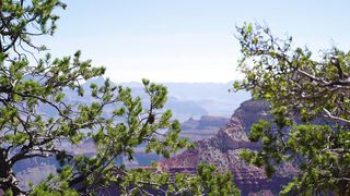 Семья Кирнев - Ты властилин