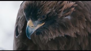 Егор и Наталия Лансере - Кто летал - тот поймёт!