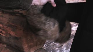 Егор и Наталия Лансере - Кто хочет быть большим между вами