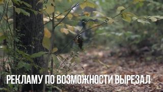 Вершина горы (2017)