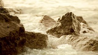 Следуй За Мной (2014)