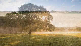 Чудесно банальное