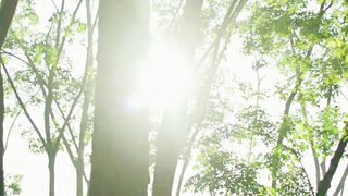 Чудесно банальное