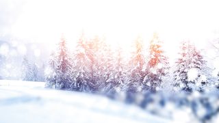 Артур Кузик - Милосердя