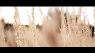 Ліза Кравчук - Батьки