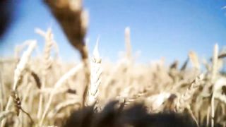 Океан Любви - Хлеб Жизни