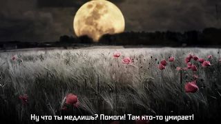 Куда идешь? Кто впереди?