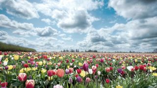 Куда идешь? Кто впереди?