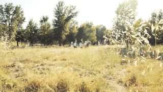 Ольга Андрощук - Жива вода