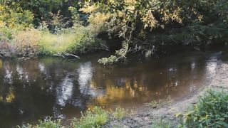 Ольга Андрощук - Жива вода