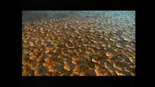 Мій Христос Ти навіки