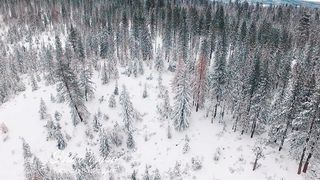 Лариса Кайдрис - На Різдво