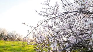 Татьяна Навроцкая - Божа воля