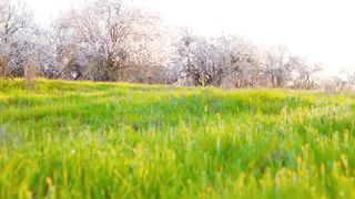 Татьяна Навроцкая - Божа воля