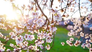 Татьяна Навроцкая - Божа воля