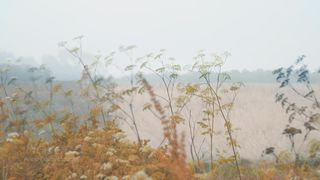 Anna Balan-Hodgkins - Небеса