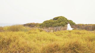 Anna Balan-Hodgkins - Небеса