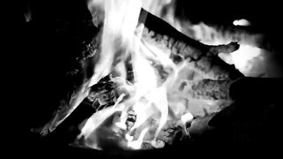 Дитя Кинга (2019)