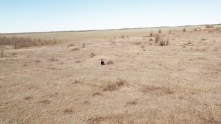 Дарина Кочанжи - Ты нужен мне