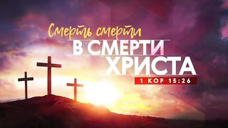 Алексей Коломийцев - Смерть смерти в смерти Христа