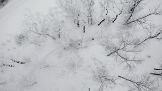 группа Единство - В мир пришел Иисус