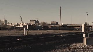 Бродяга (2014)