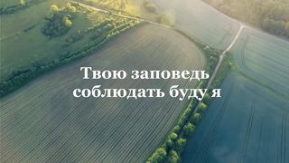 Егор и Наталия Лансере - Это мой удел