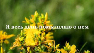 Егор и Наталия Лансере - Это мой удел