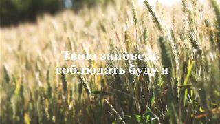 Егор и Наталия Лансере - Это мой удел