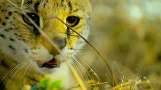 Вижу Бога каждый день