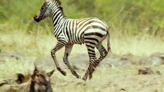 Вижу Бога каждый день