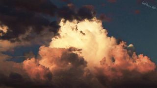 Благодать Ньютона (2017)