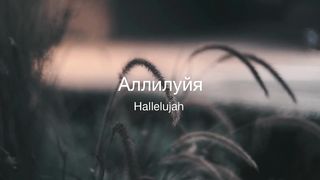 Наталья Доценко - До конца я пройду свой путь