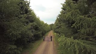 Блесс - Отче