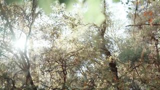 Лариса Кайдрис, Светлана Демко - Батьківський Дім