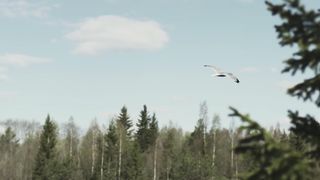 Дмитрий Шлетгауэр - Бегу к Тебе