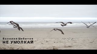Валерий Шибитов - Не умолкай