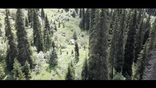 SokolovBrothers - Бездонный океан