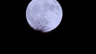 Божье кафе (2019)