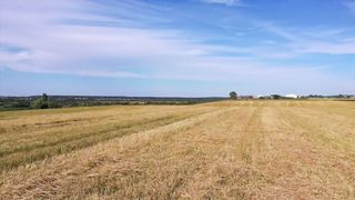 Нотки - Заповідь Дитяча