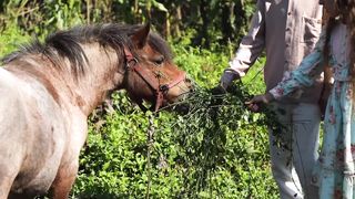 Нотки - Заповідь Дитяча