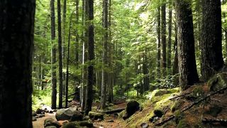 Егор Лансере - Ветер