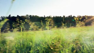 Егор и Наталия Лансере - Человек под деревом